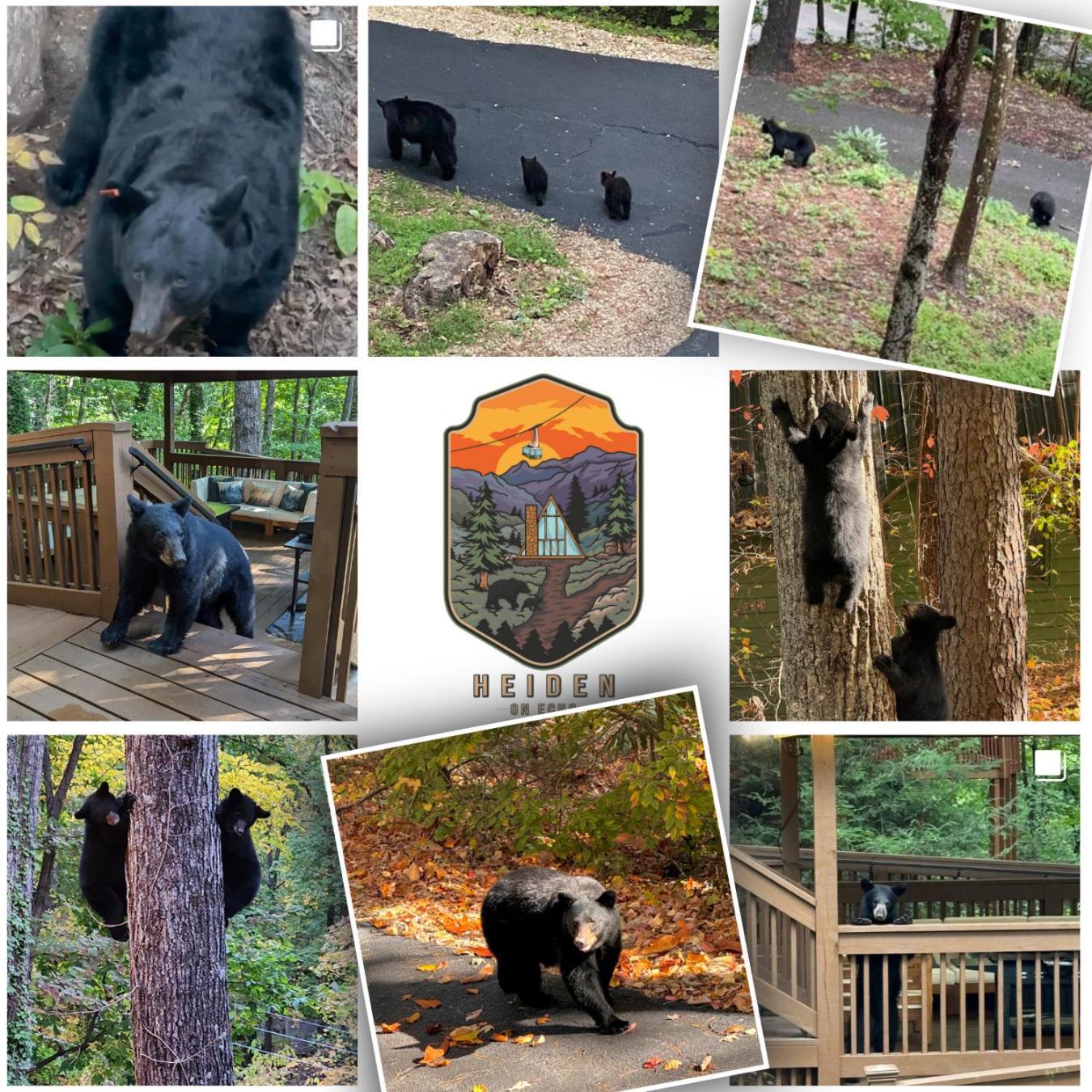 1Mile Downtown, Handicap Ramp, Hot Tub, Game Room แกตลิงเบิร์ก ภายนอก รูปภาพ